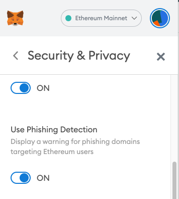 MetaMask Security and Privacy settings with phishing detection turned on
